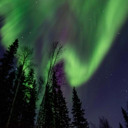 Riverside Log Cabin On-Site Aurora Viewing! North Pole Eksteriør bilde