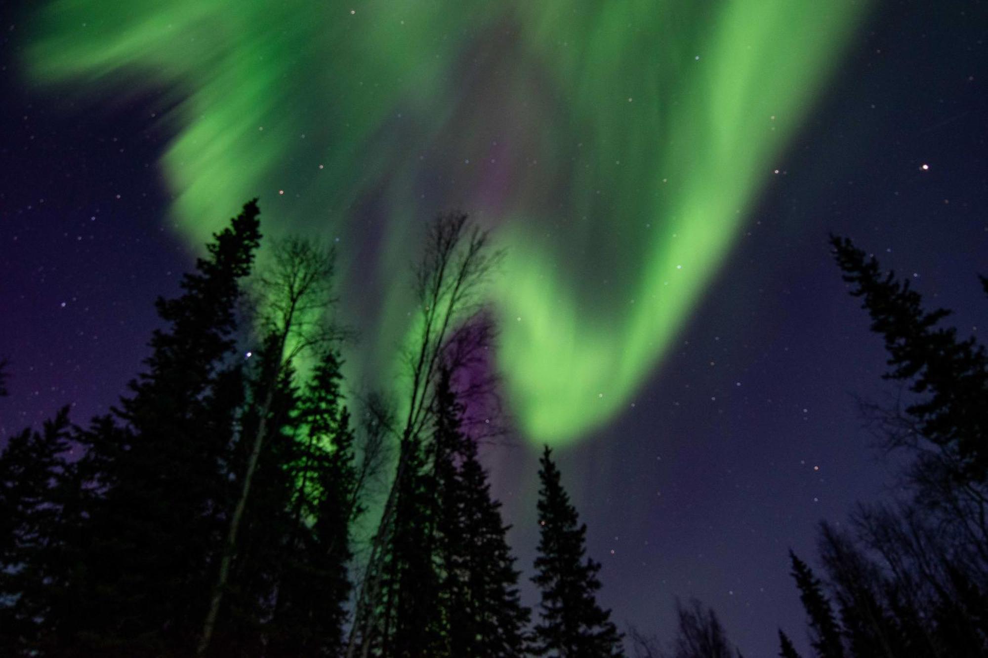 Riverside Log Cabin On-Site Aurora Viewing! North Pole Eksteriør bilde